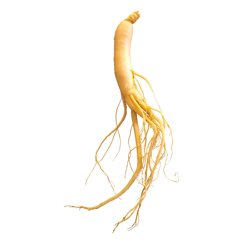 Ginseng - From Nature